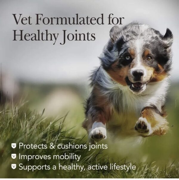 NutriVet Hip & Joint Chewable Dog Supplements 120counts Luxury Pet