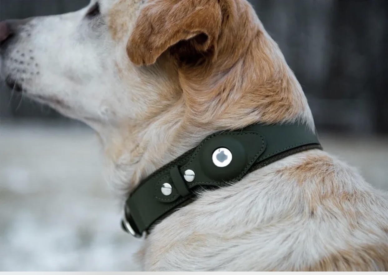 Leather Dog and Cat AirTag Collar Case For Apple Airtags Luxury Pet