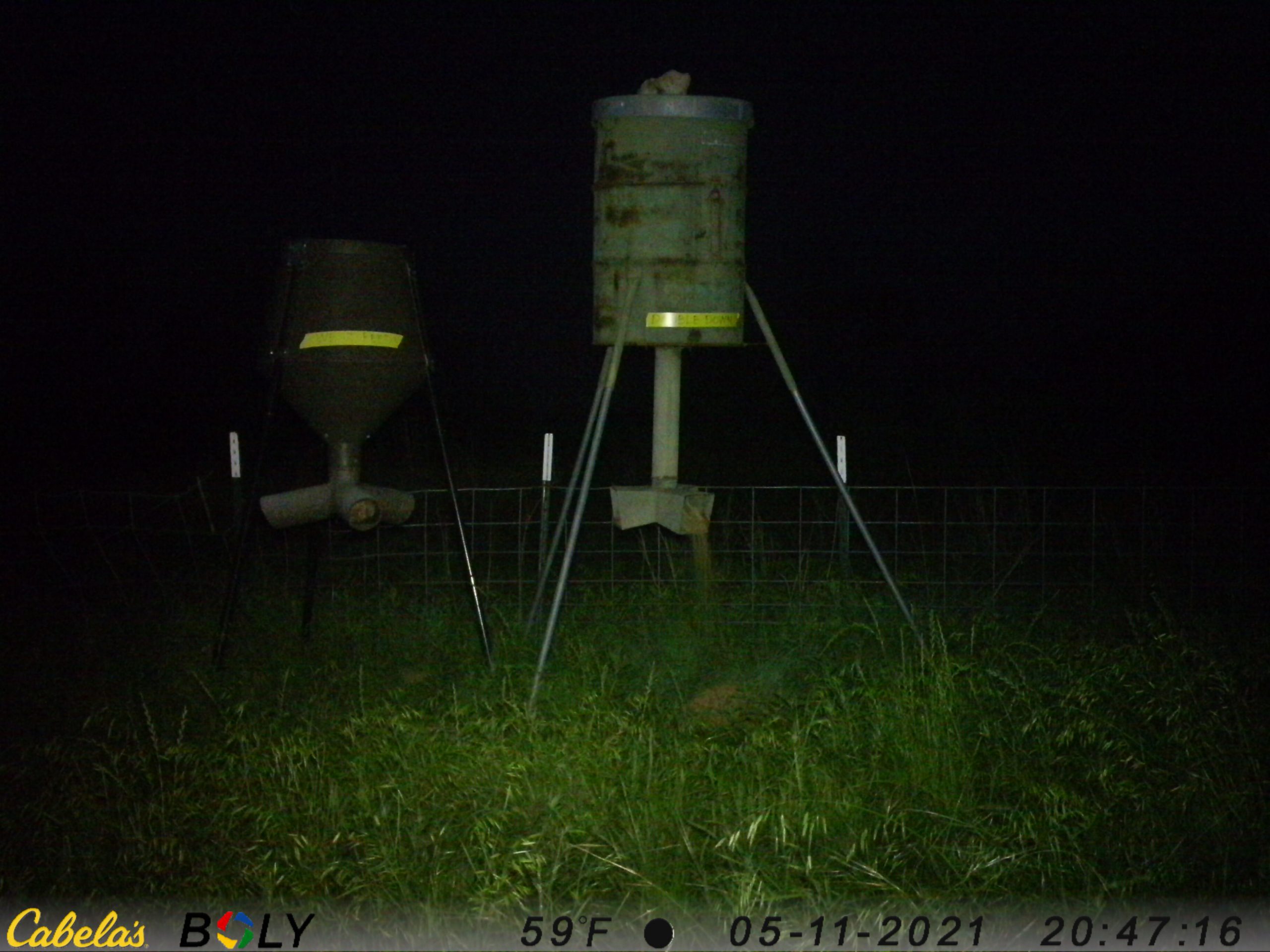 Battle of the Deer Protein Brands Double Down vs. West Feeds, round 2