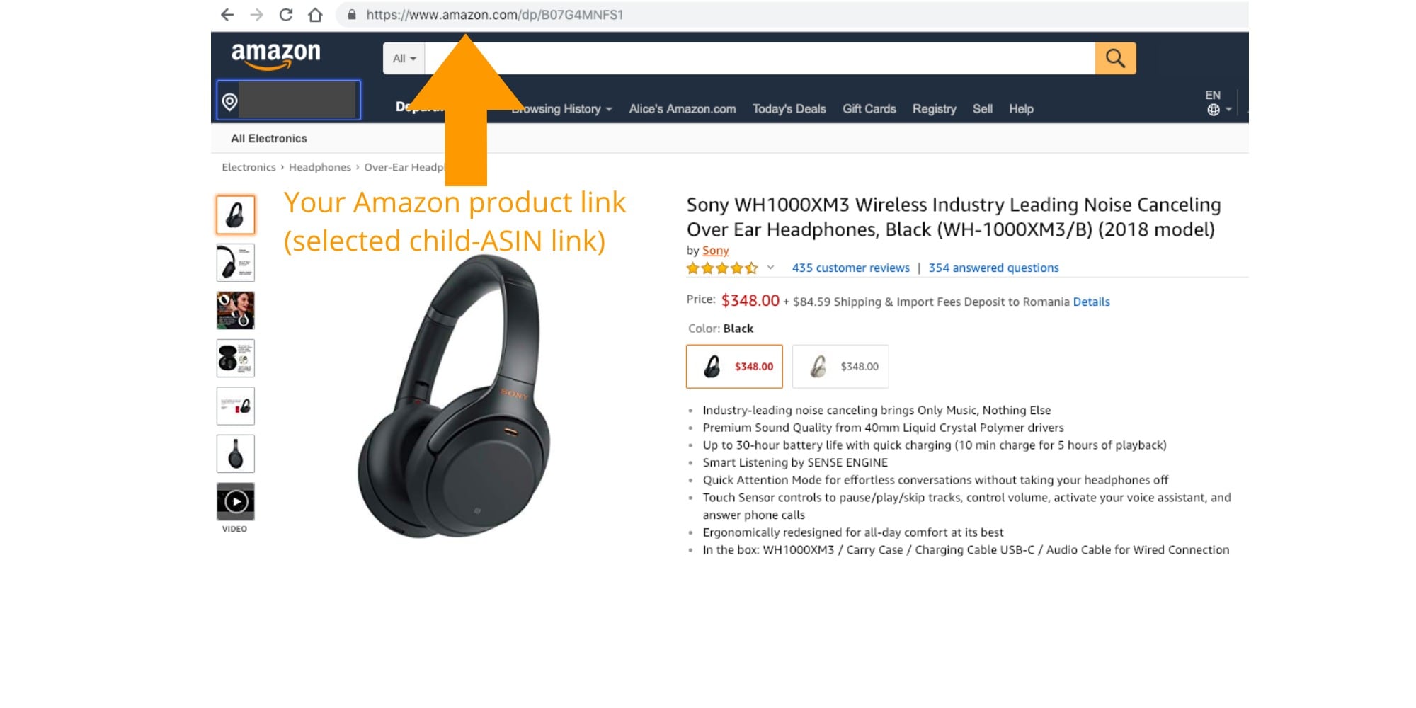 How to Export Your Amazon Reviews Blog