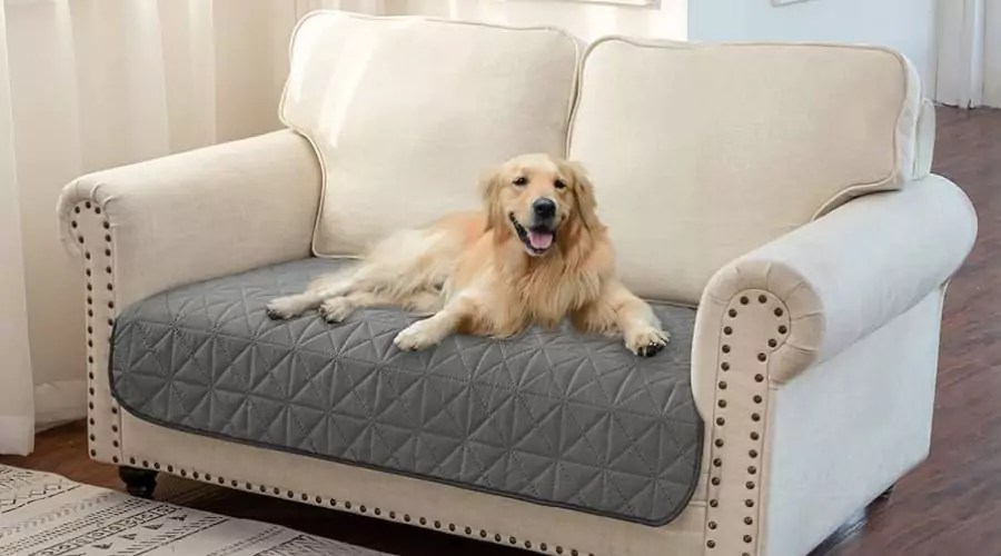PetFriendly Elegance The Best Couch Covers for Dogs Owners
