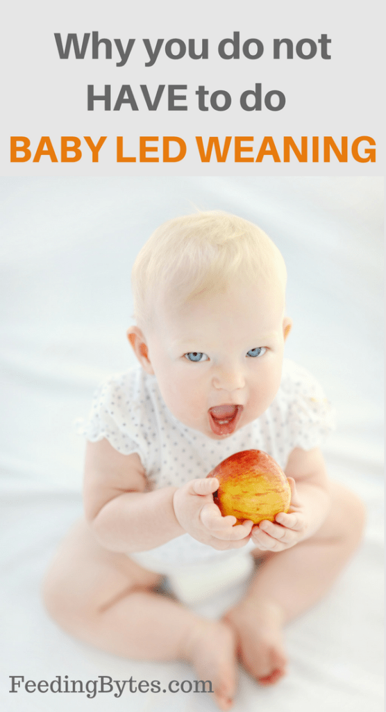 My Problem with Baby Led Weaning Feeding Bytes