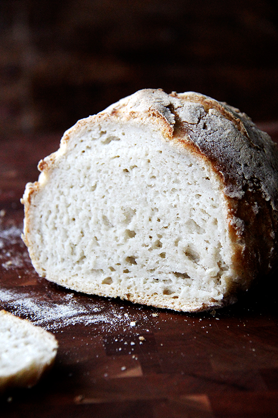 The Best GlutenFree Bread Recipes Quick and Easy!