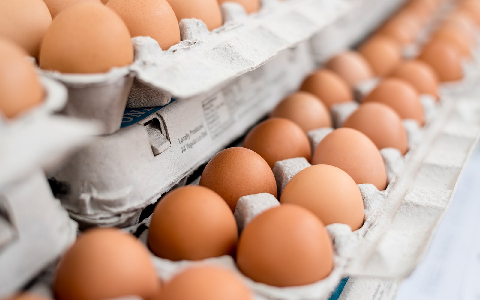 Ontario Egg Program Farmers Helping Local Food Banks Feed Ontario