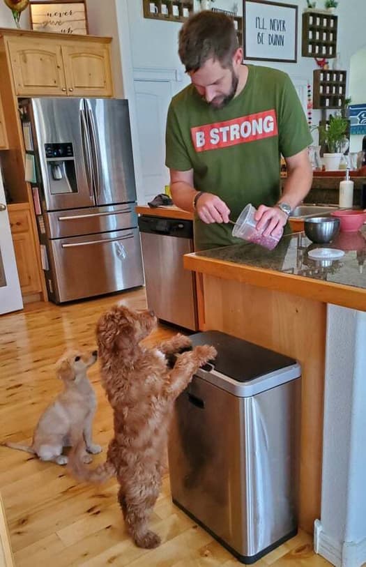 Feed Primal Feed Primal