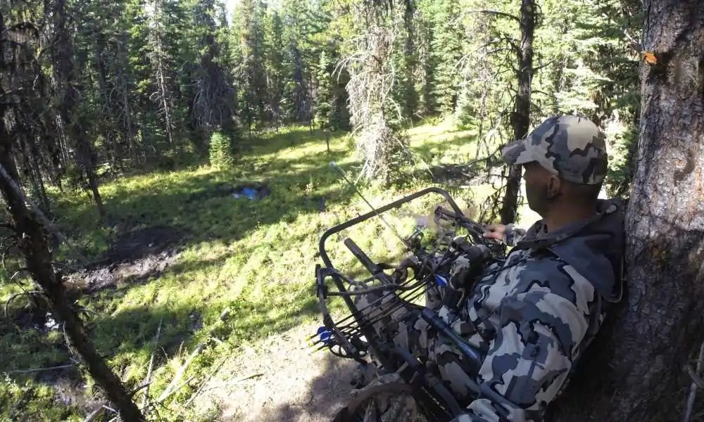 3 Best Deer Stands Reviewed & Compared Feed That Game