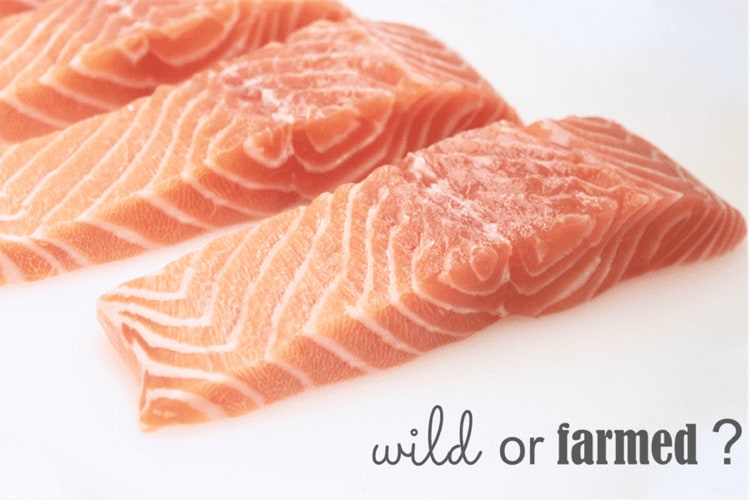 Which is Healthier Wild or Farmed Salmon? Feed Them Wisely