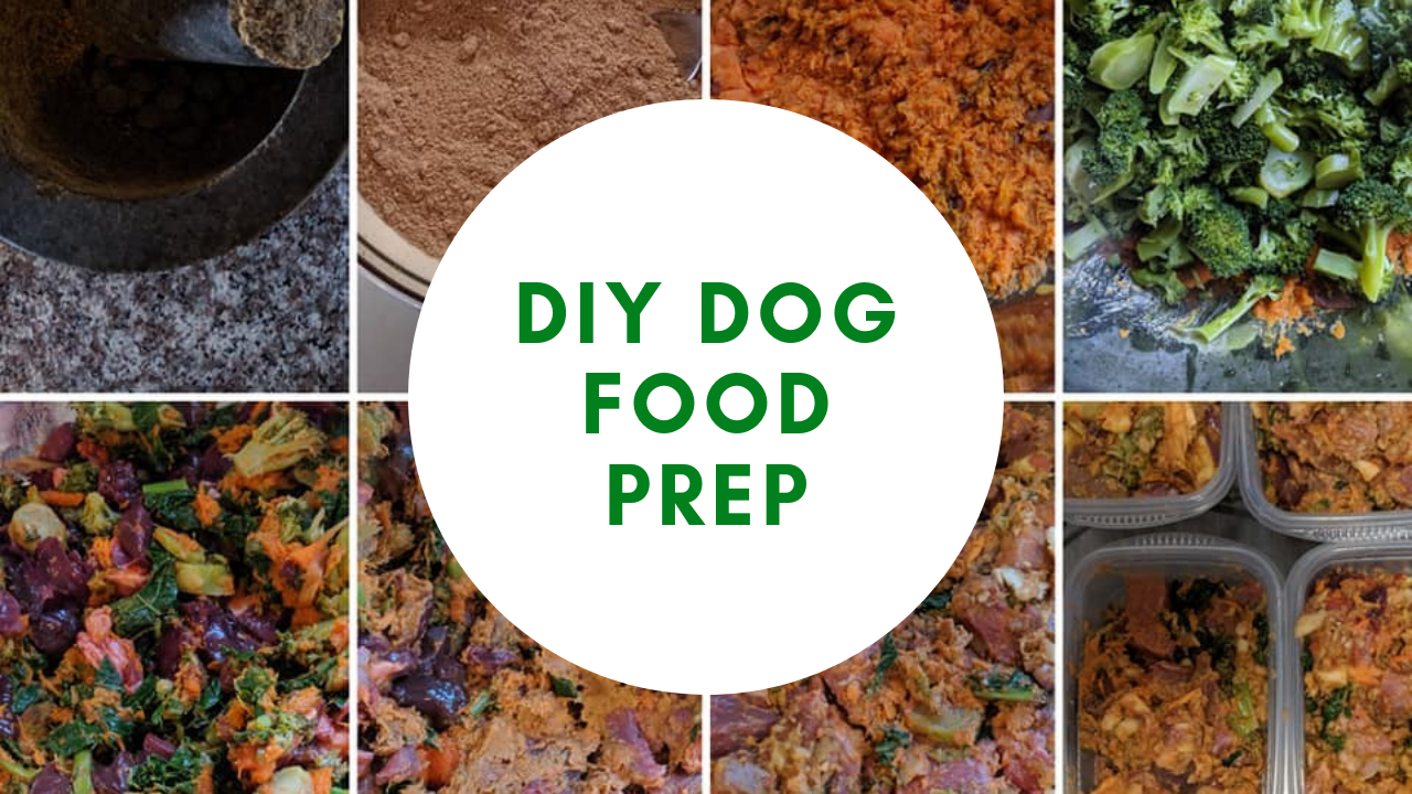 Prepping Dog Food Feed Thy Dog