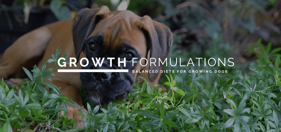 Puppy Formulation Feed Thy Dog