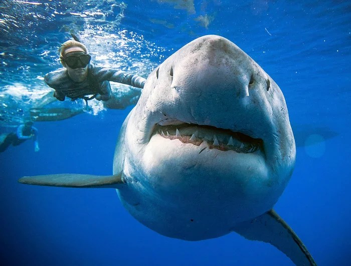 Top 15 Most Dangerous Tourist Places in the USA FEEDZBIRD