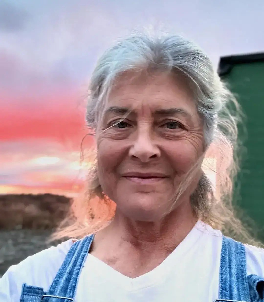 Sue Aikens Net Worth, Wikipedia, Daughter, Height, Husband, Age