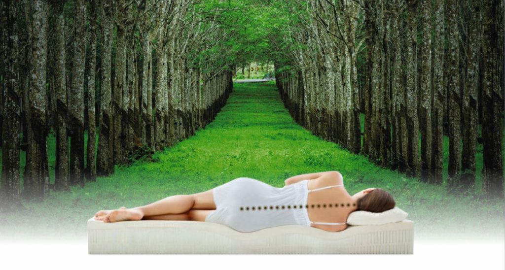 A Walk through Stages of Sleep Feelgood