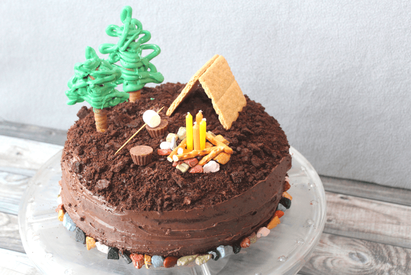 Easy S'mores Camping Cake for Beginner Bakers Feeling Nifty