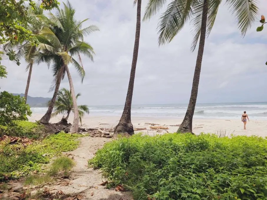 20 Things to do in Santa Teresa Beach, Costa Rica » Feeling PURA VIDA