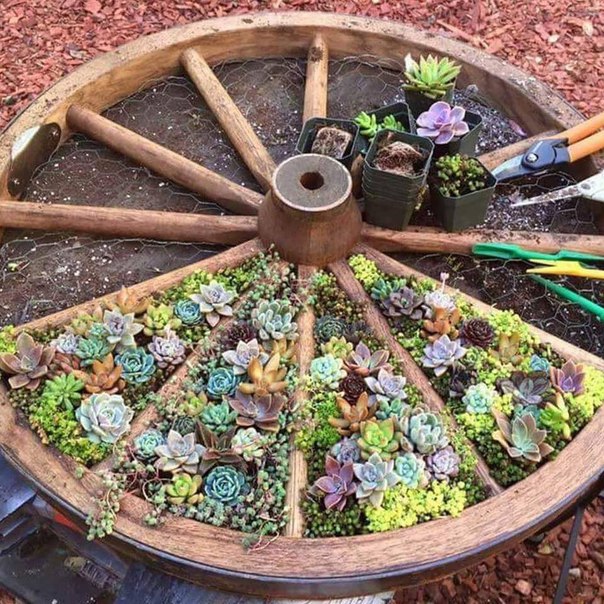 Unique Flower Planters That Will Beautify Your Garden