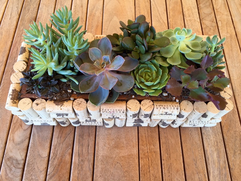 DIY Wine Cork Planters That You Should Not Miss