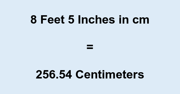 Inch And Metric Rulers Centimeters And Inches Measuring, 48% OFF