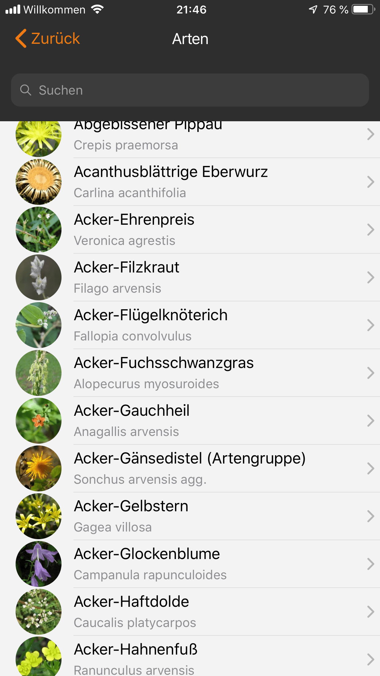 Was wächst da? Pflanzen mit dem Handy bestimmen.