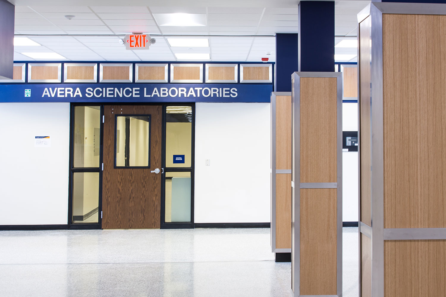 Mount Marty College / Avera Nursing and Simulation Center FEH Design