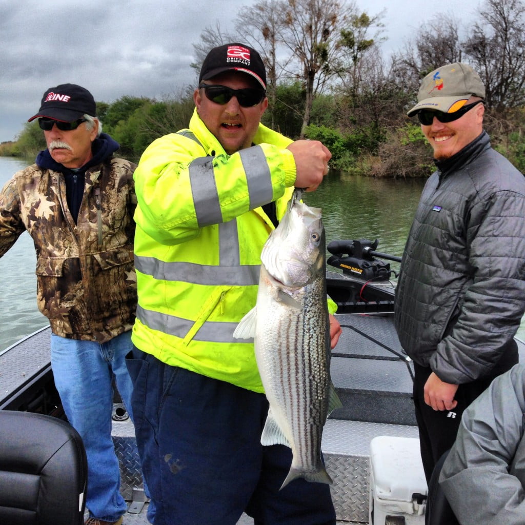 California Delta Stripers Feisty Fish Guide Service