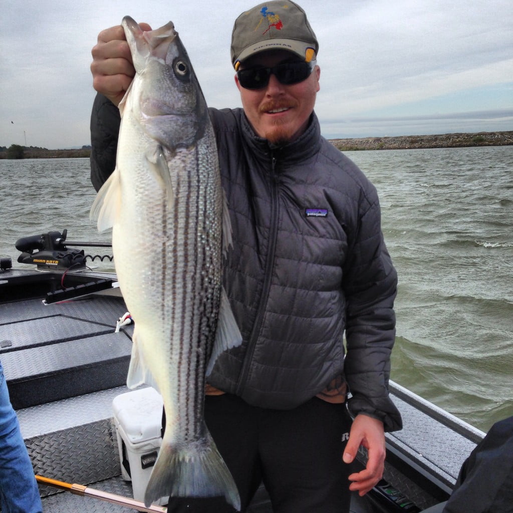 California Delta Stripers Feisty Fish Guide Service