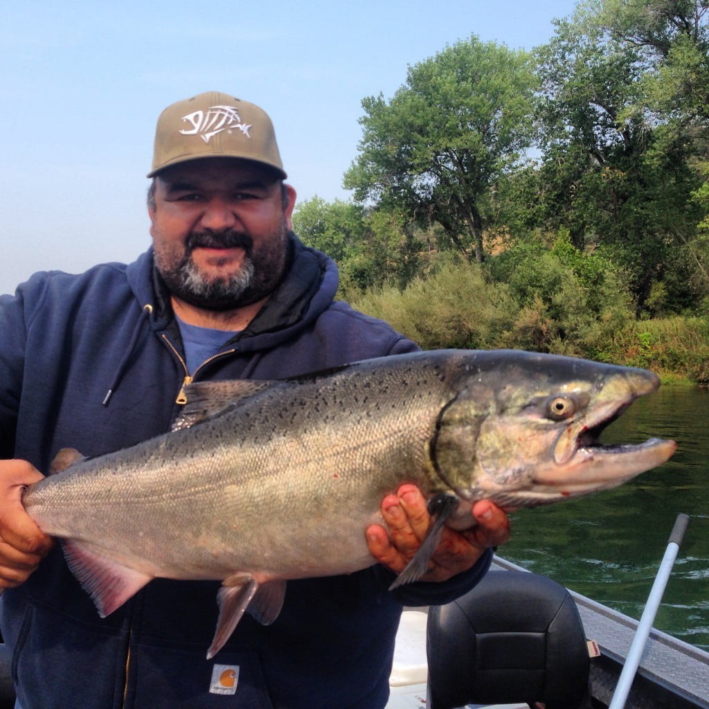 Sacramento River King Salmon Fishing Feisty Fish Guide Service
