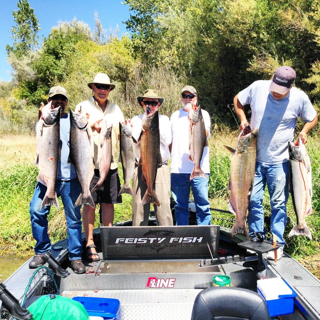 Sacramento River King Salmon fishing Feisty Fish Guide Service