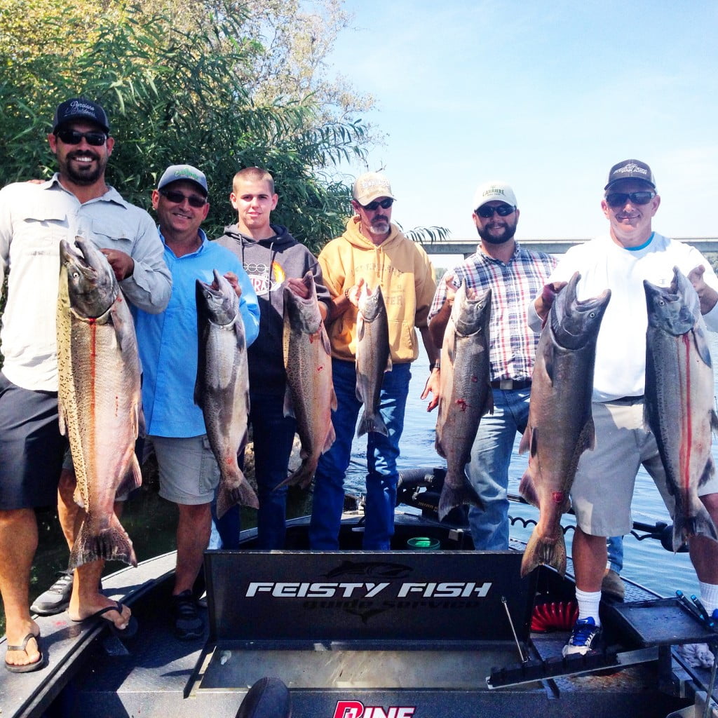 Sacramento River Salmon Fishing Feisty Fish Guide Service