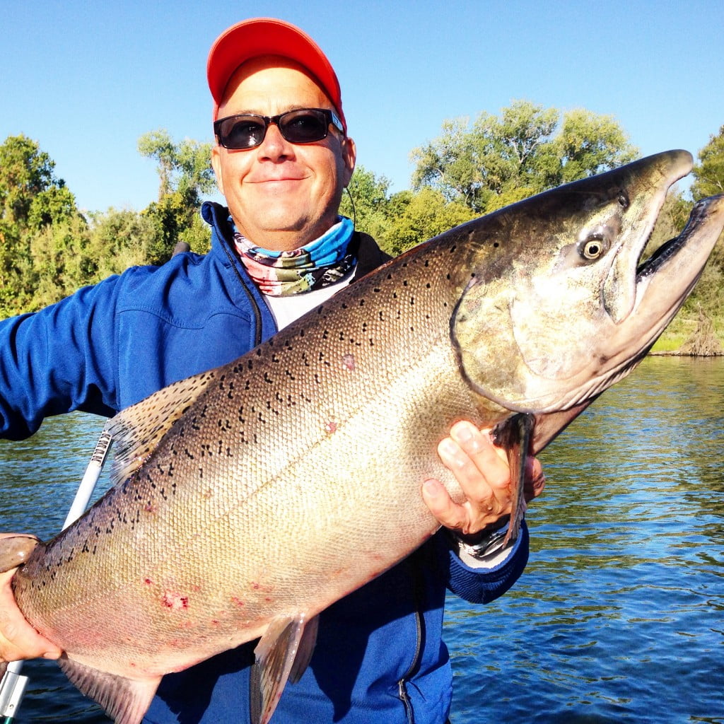 Sacramento River Salmon Fishing Feisty Fish Guide Service