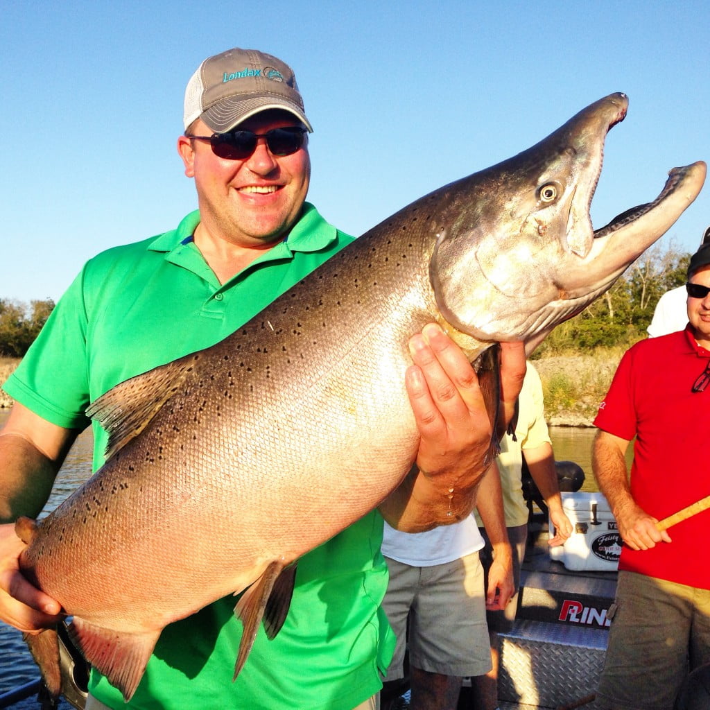 Sacramento River Salmon Fishing Feisty Fish Guide Service