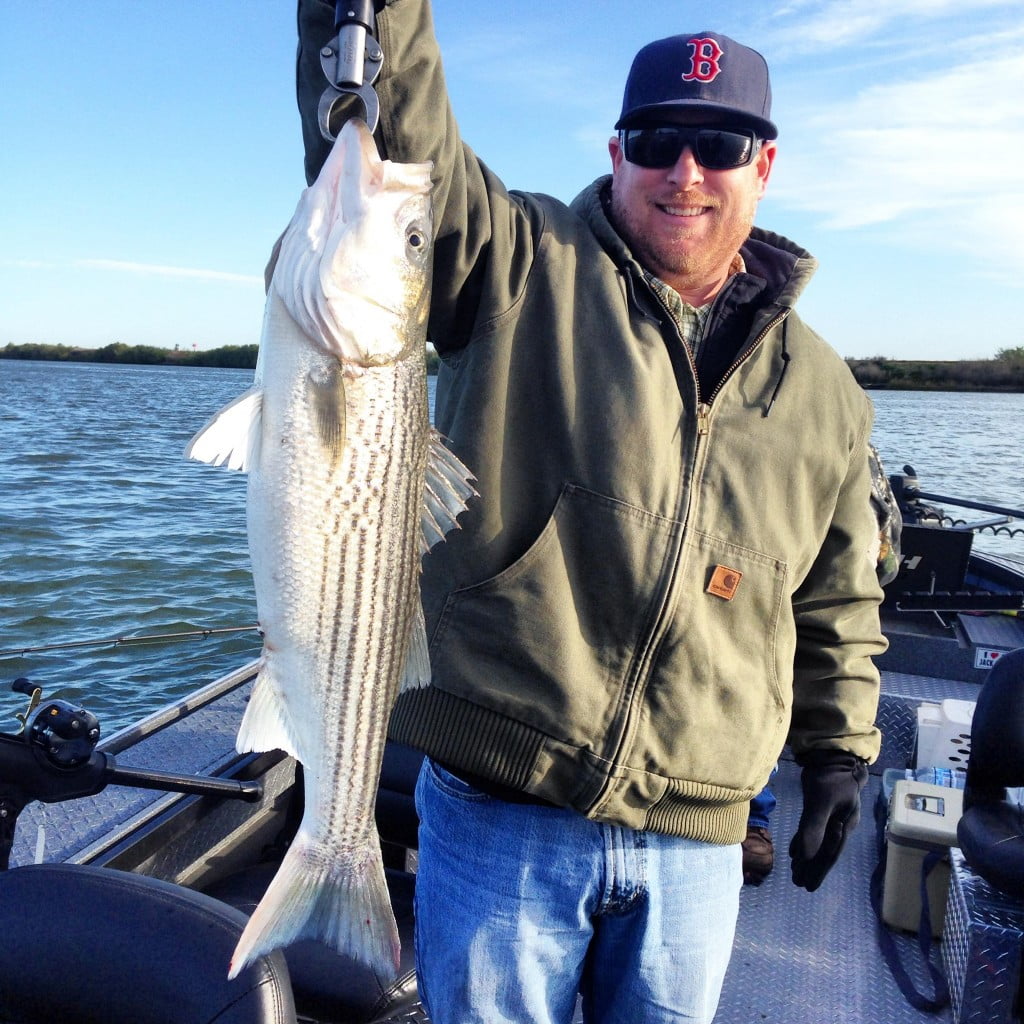 Delta Striper Fishing Feisty Fish Guide Service