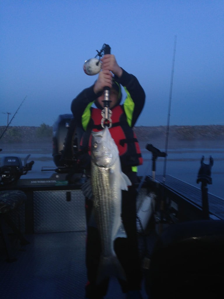 California Delta Striped Bass Fishing Feisty Fish Guide Service