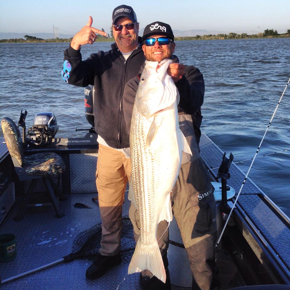 CA Delta Stripers Feisty Fish Guide Service