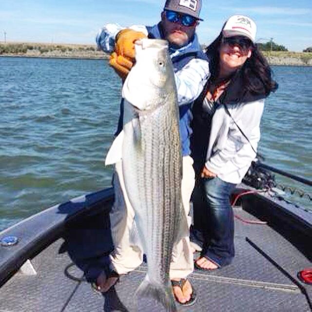 CA Delta Stripers Feisty Fish Guide Service