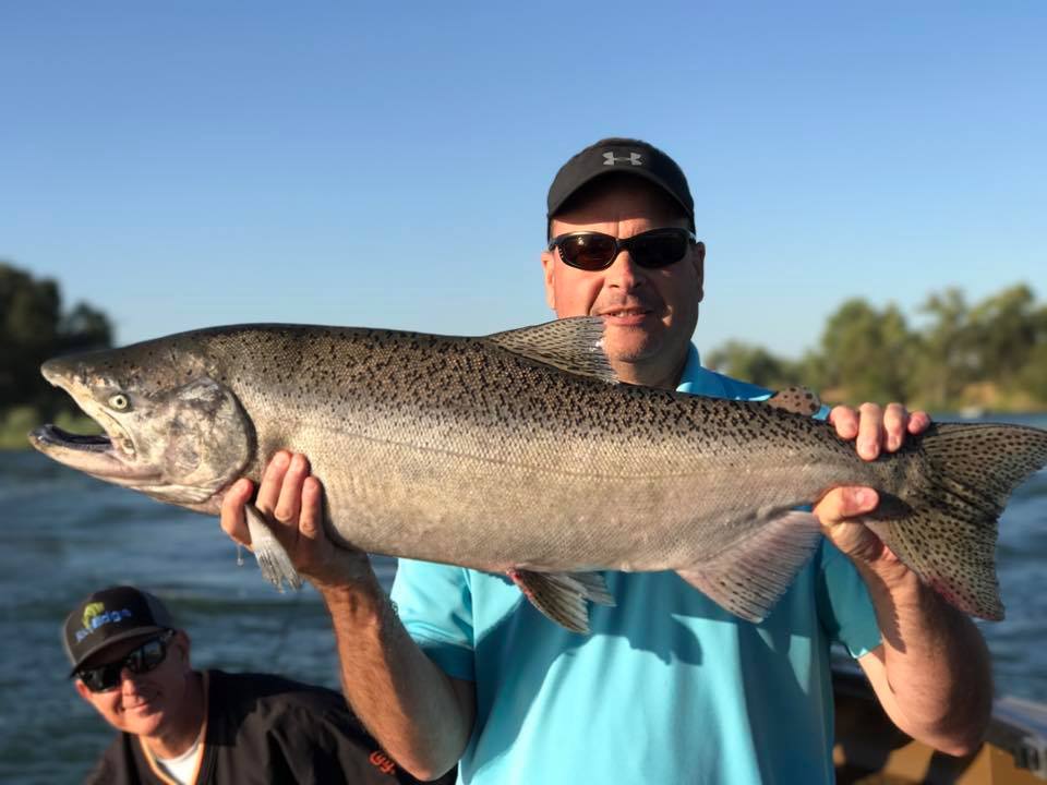 Feather River King Salmon Fishing Feisty Fish Guide Service