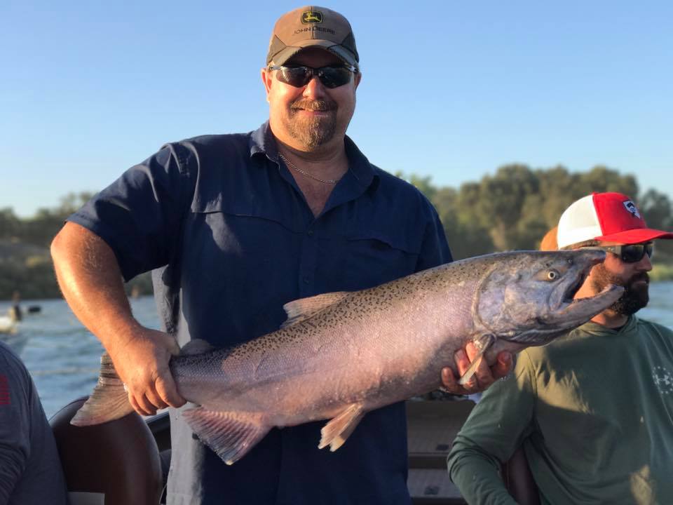 Feather River King Salmon Fishing Feisty Fish Guide Service