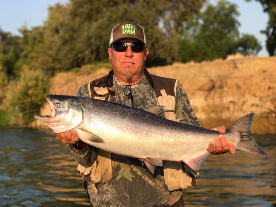 Feather River King Salmon Fishing Feisty Fish Guide Service