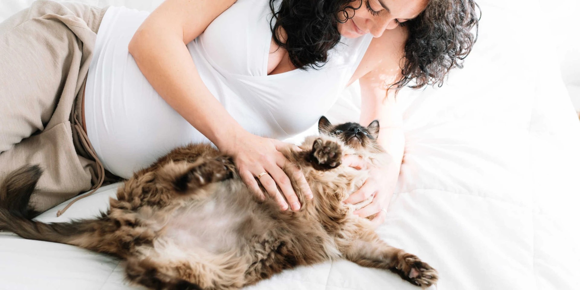 What Does It Mean When Your Cat Lets You Rub Its Belly