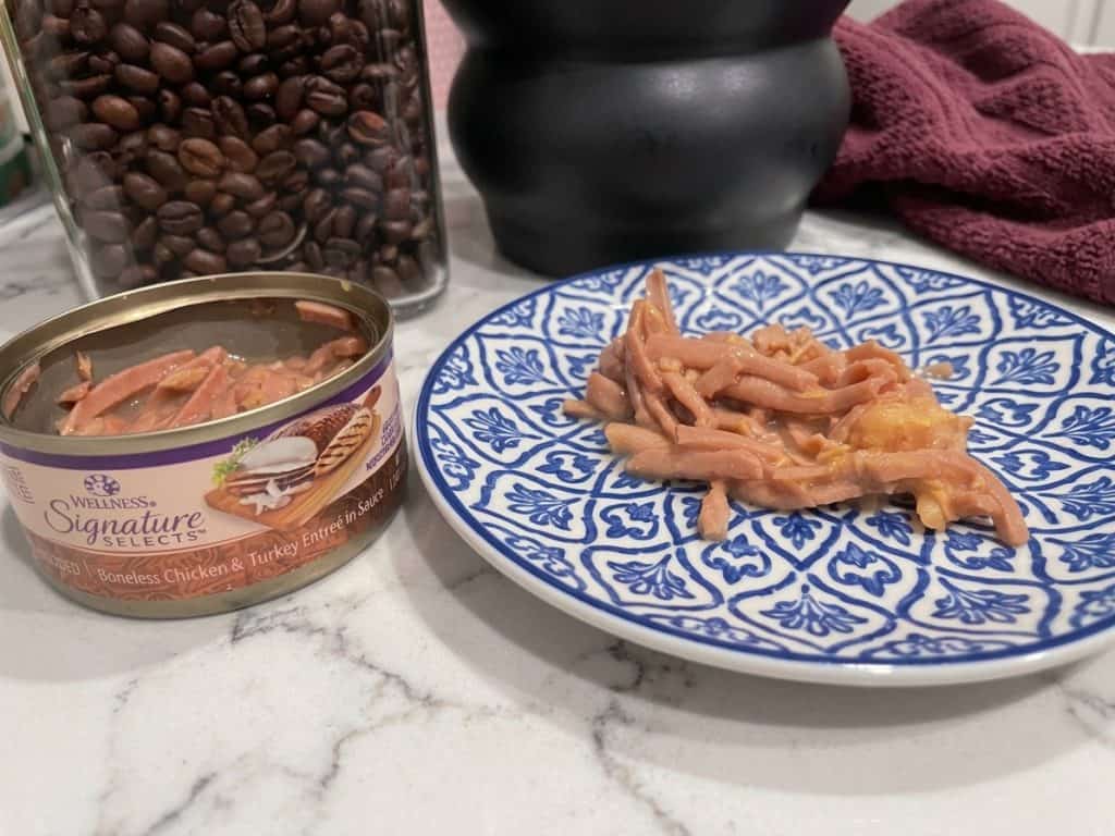 5 Best Diabetic Cat Food Options to Support Your Cat’s Health 12 Diabetic Cat Food