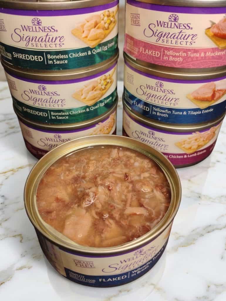 5 Best Diabetic Cat Food Options to Support Your Cat’s Health 13 Diabetic Cat Food