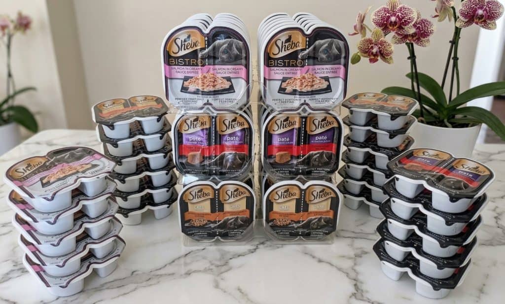 Sheba Cat Food Review: Is This Gourmet Option Right for Your Feline? 12 Sheba Cat Food Review