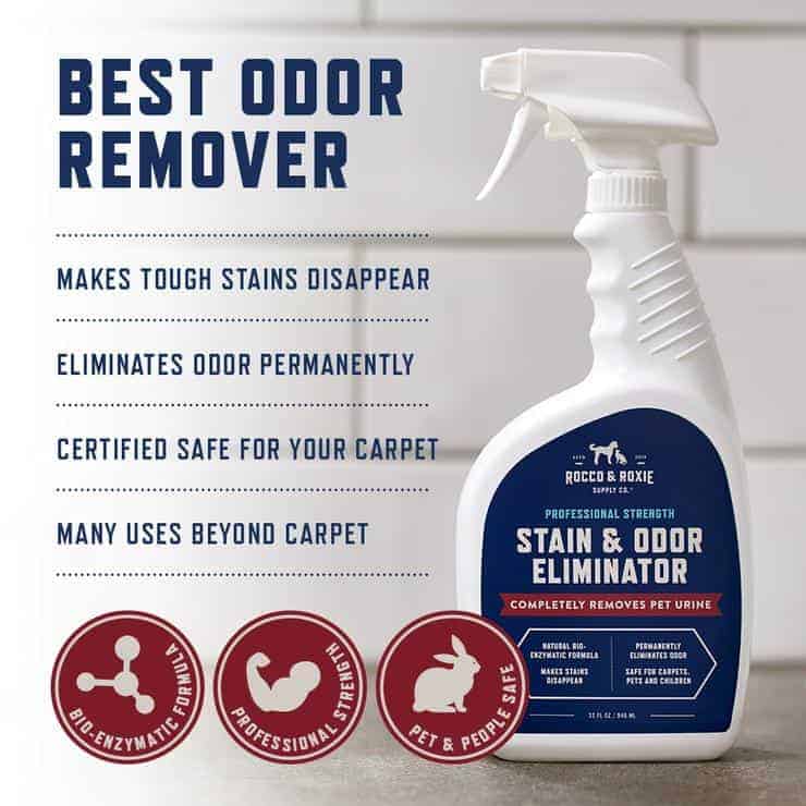 best cat pee cleaner