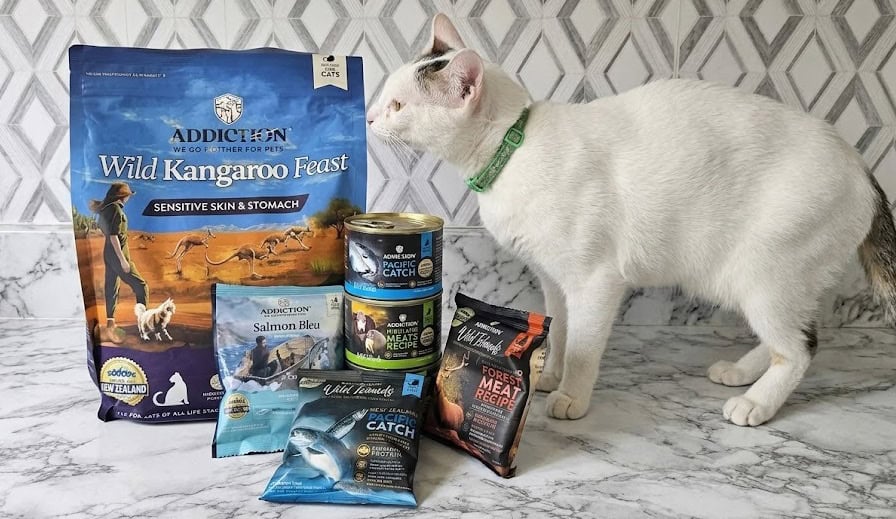 Addiction Cat Food Review