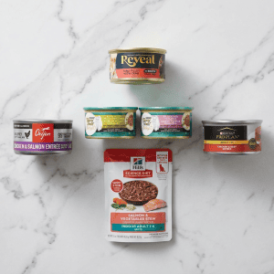 Best Wet Cat Food for Indoor Cats