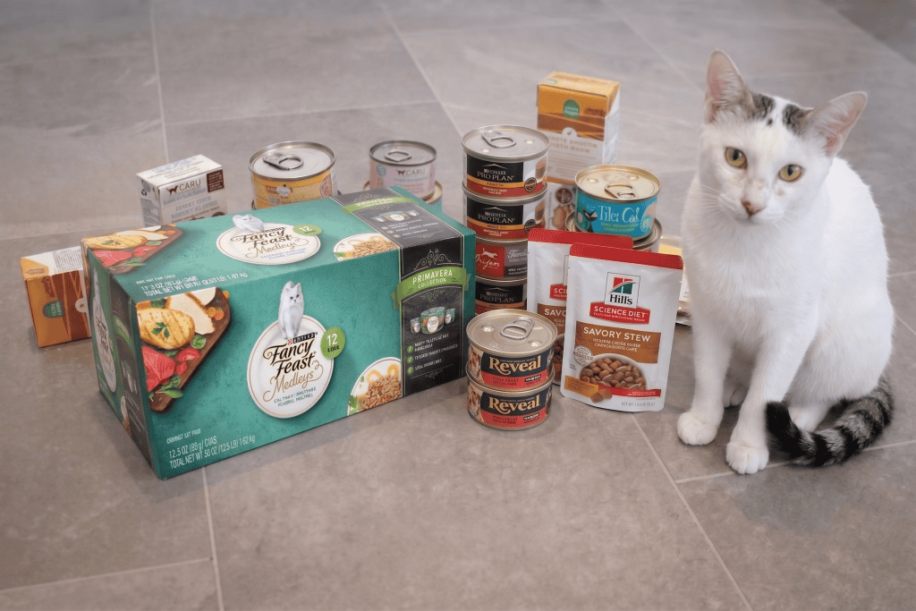Best Wet Cat Food for Indoor Cats: 7 Healthy & Hydrating Choices 2 Best Wet Cat Food for Indoor Cats