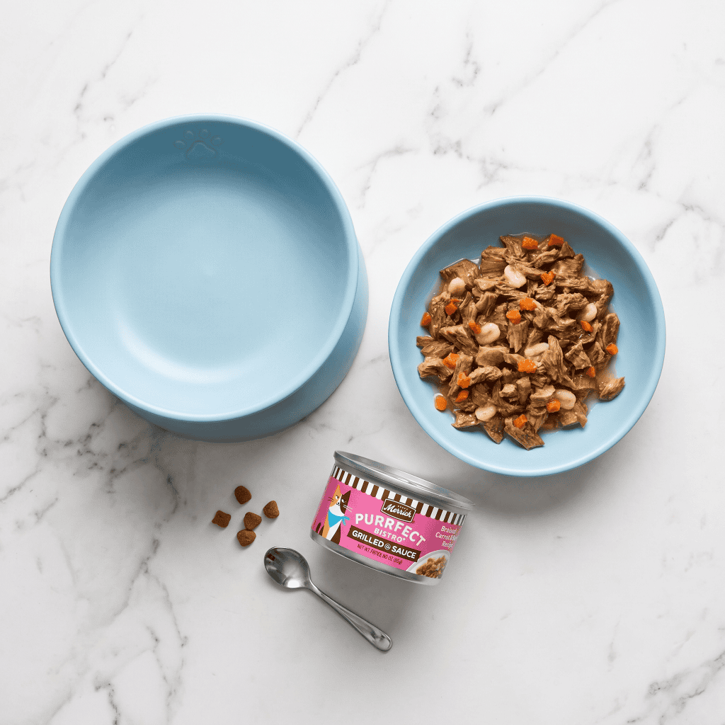 Best Wet Cat Food for Indoor Cats: 7 Healthy & Hydrating Choices 4 Best Wet Cat Food for Indoor Cats