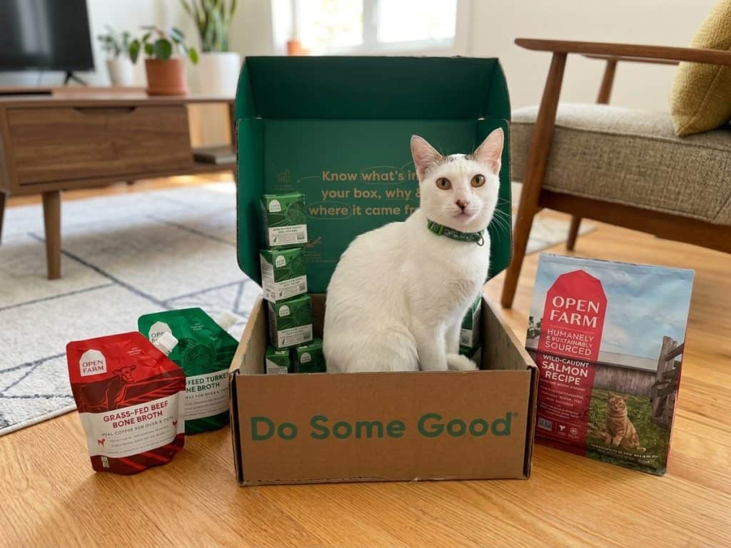 Open Farm Cat Food Review: Ethical, Traceable Nutrition or Just a Premium Price Tag? 12 Open Farm Cat Food Review: Ethical, Traceable Nutrition or Just a Premium Price Tag? 10
