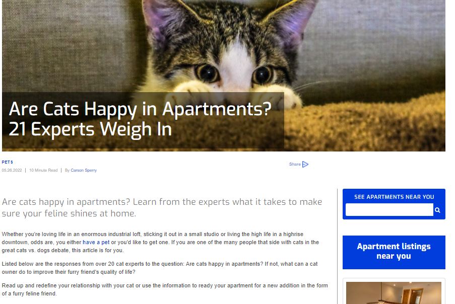 Are Cats Happy in Apartments? Home felineopines