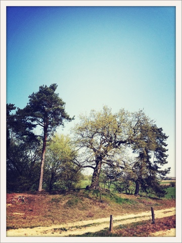 20110423-104936.jpg