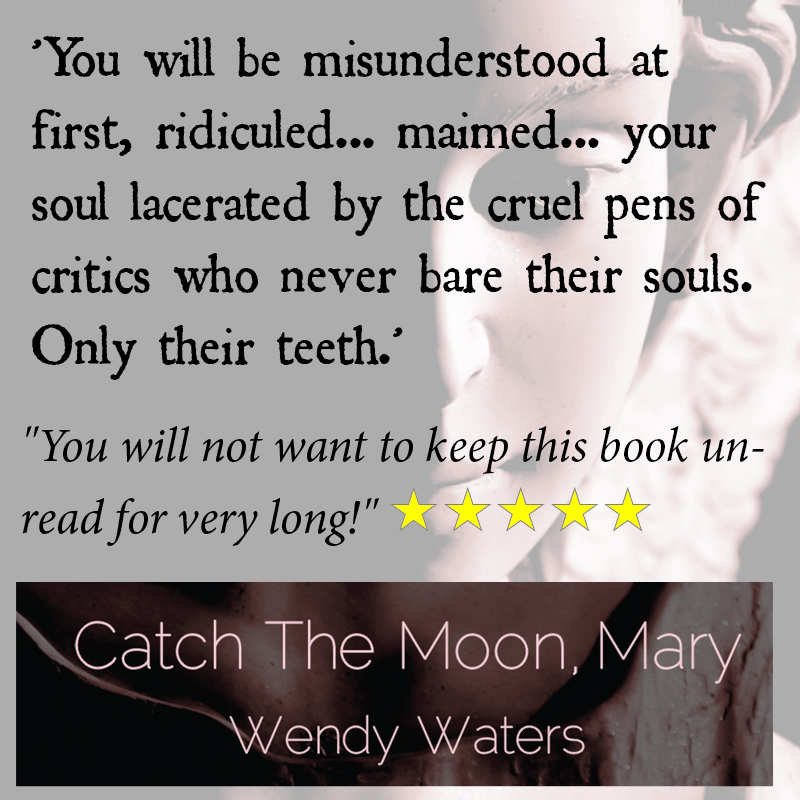 Review of Catch the Moon, Mary by Wendy Waters FELIX THE FOX MYSTERIES